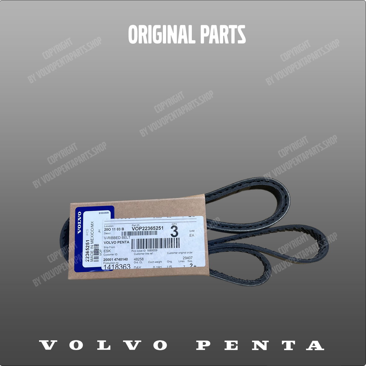 Volvo Penta v-ribbed belt 22365251