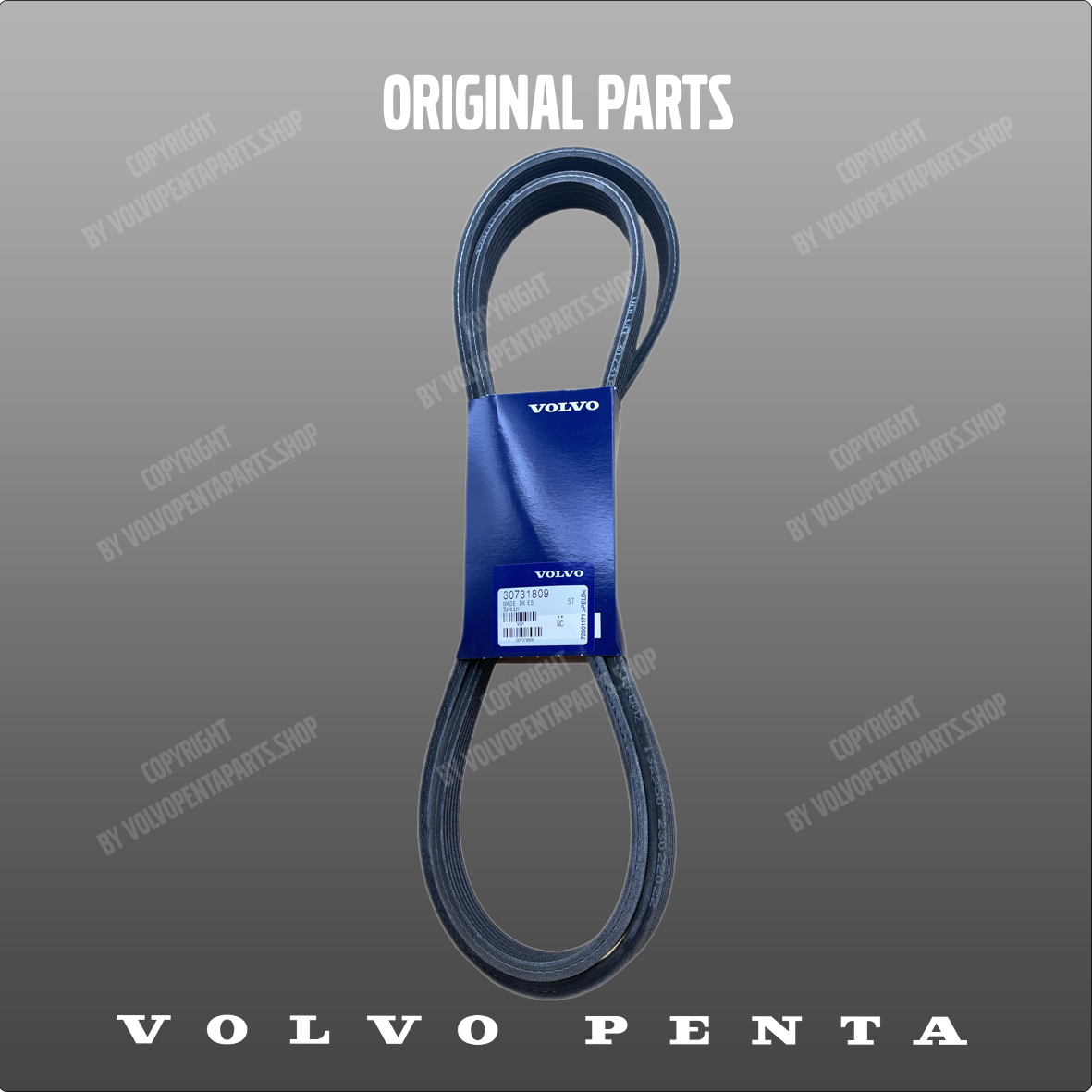 Volvo Penta drive belt 30731809